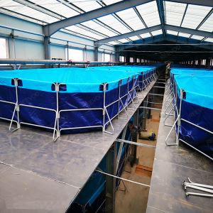 Pool tal-Ħut ta 'Ġewwa ta' Barra